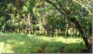 DSC05648