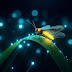 Illuminating Nature: How Fireflies Create Light
