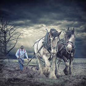 19-The-Team-Adrian-Donoghue-Photographs-from-the-point-of-view-of-the-viewer-www-designstack-co