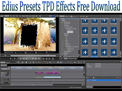 Edius Presets TPD Effects