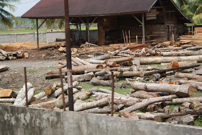 Kilang Kayu Besar di Sigli