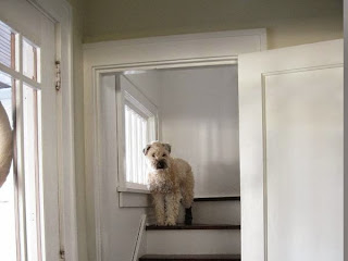 Kerri on the Stairs