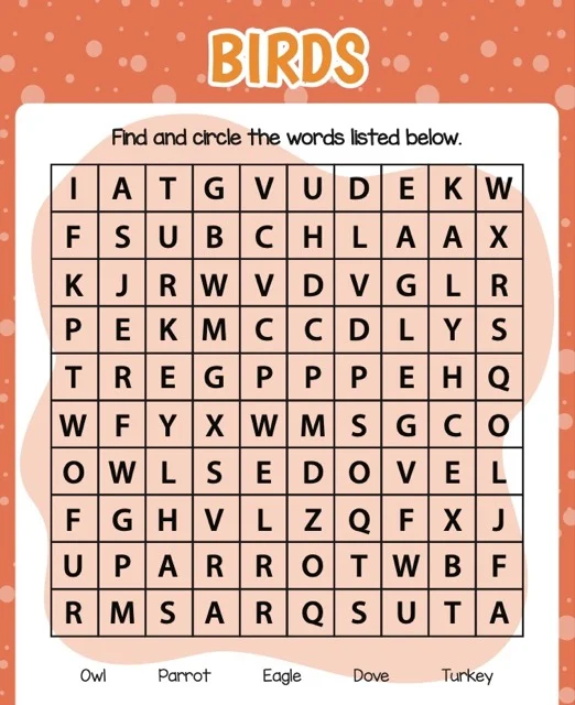 Word Search