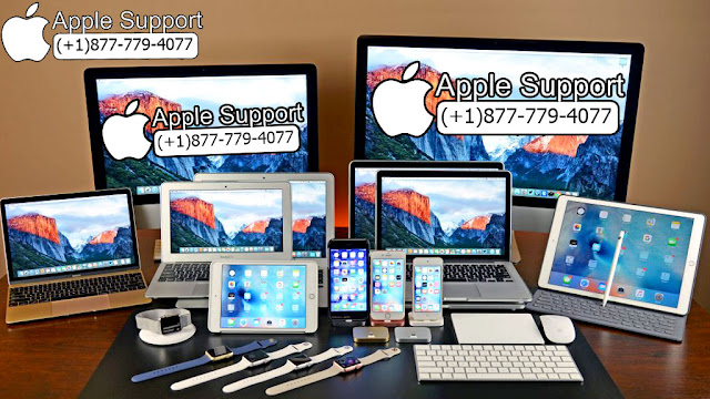 apple support phone number