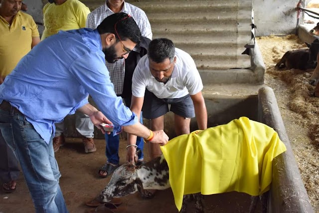  धर्मशाला में बनेगा नोर्थ इंडिया का सबसे बड़ा सीवरेज ट्रीटमेंट प्लांट :नेहरिया