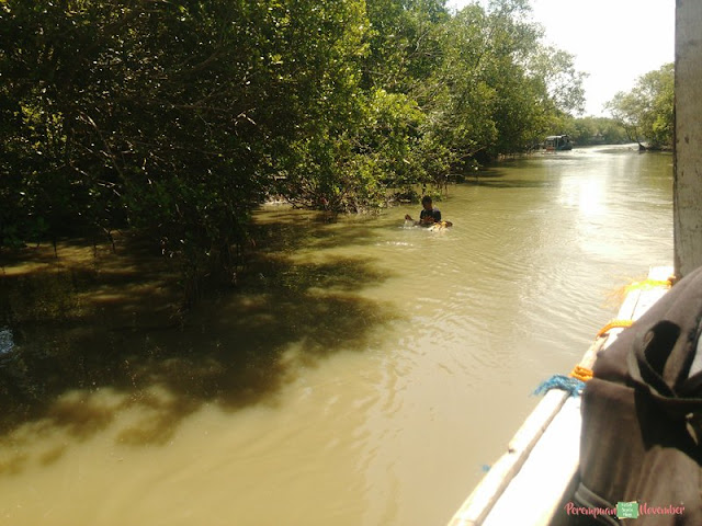 wisata mangrove kampoeng nipah