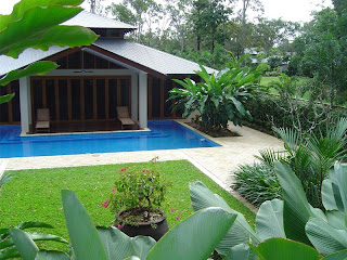 Tropical Backyard Garden