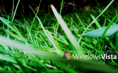 Windows Vista Green