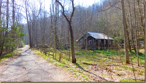 cucumber gap loop (16)