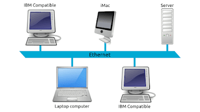 LAN (Local Area Network)