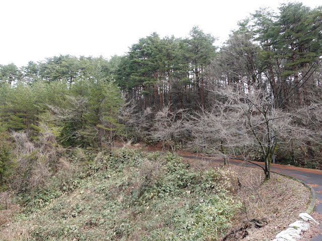 鳥取県西伯郡伯耆町丸山　ふれあいの森キャンプ場に向かう