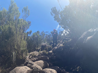 Kilimanjaro, Lemosho route