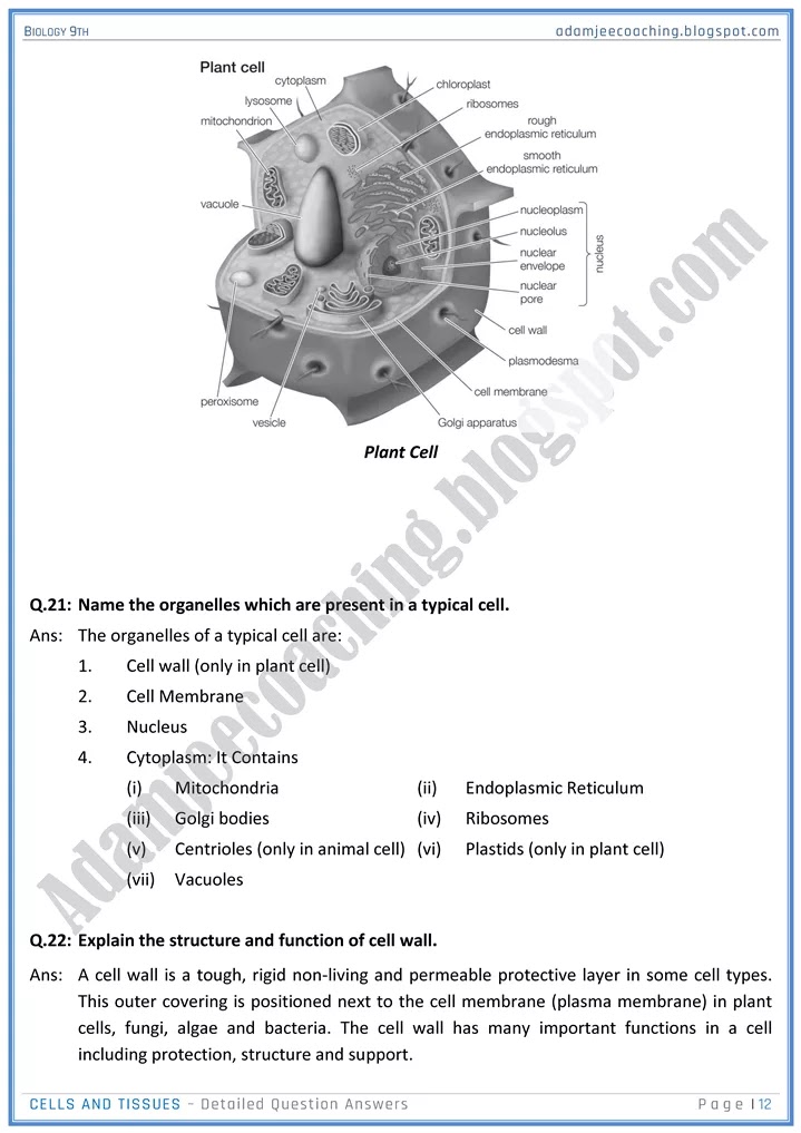 cells-and-tissues-detailed-question-answers-biology-9th