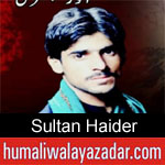https://humaliwalaazadar.blogspot.com/2019/09/sultan-haider-nohay-2020.html