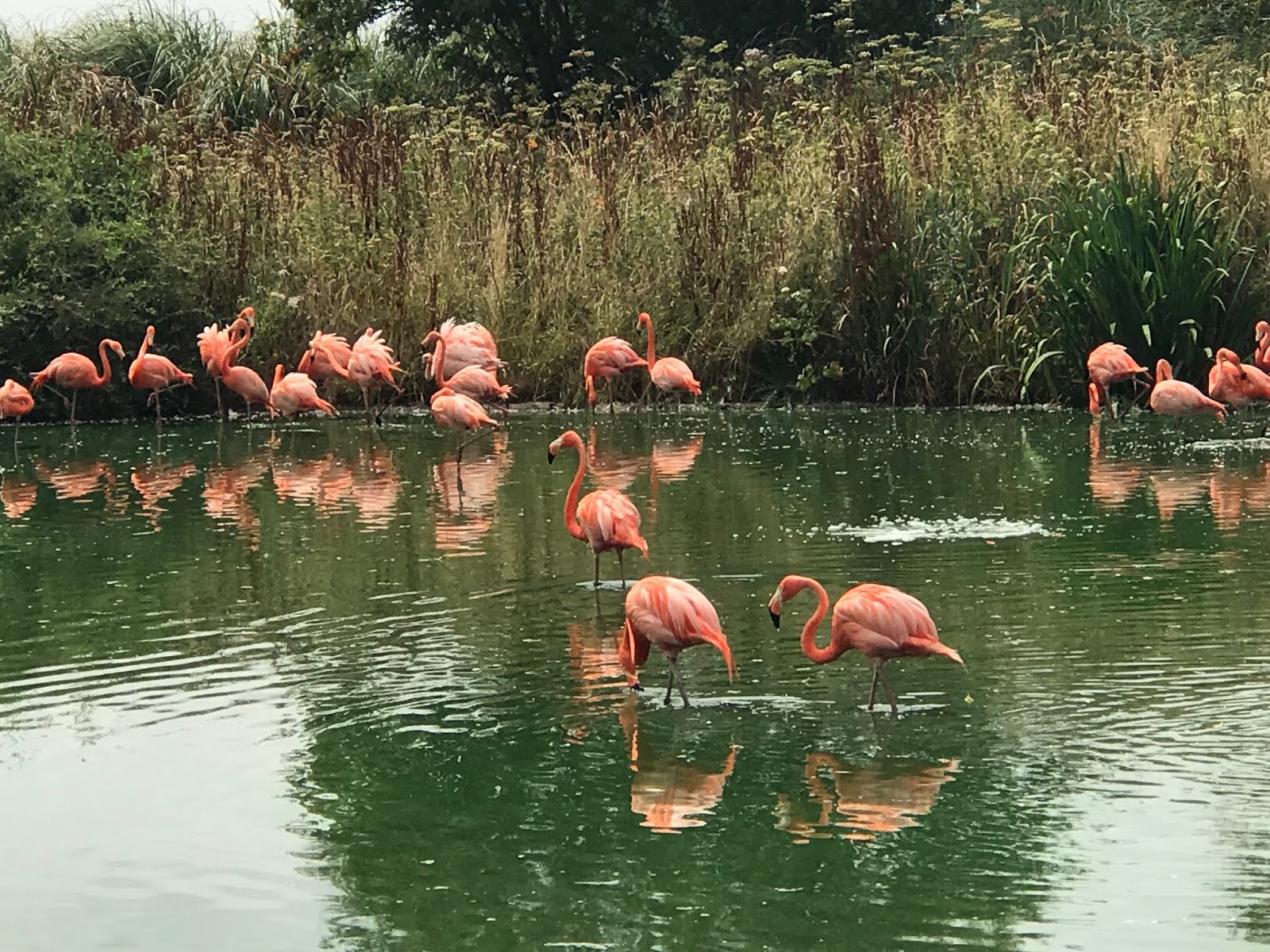 ZSL Whipsnade Zoo