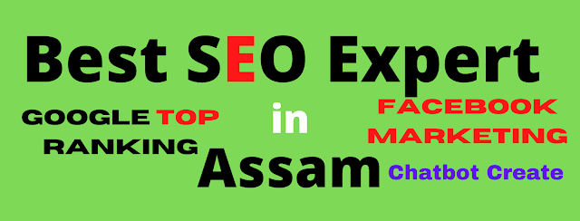 PD Freelancer only in Best SEO expert in Assam