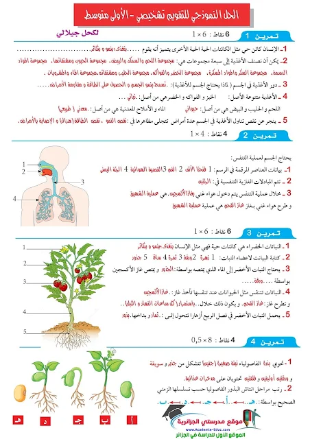 تقويم تشخيصي مرفق بالحل النموذجي في مادة العلوم الطبيعية سنة اولى متوسط