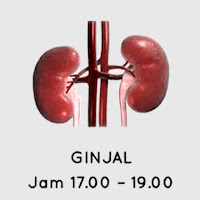 Ginjal