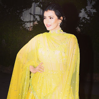 Hebah Patel In Yellow Dress photo