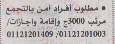 اهم وافضل الوظائف اهرام الجمعة وظائف خلية وظائف شاغرة على عرب بريك