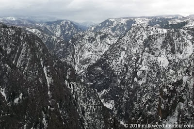 Snow coats the canyon sides under heavy gray clouds at Black Canyon of the Gunnison National Park, Colorado