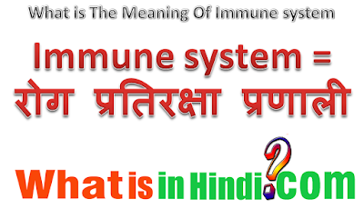 What is the meaning of Immune system in Hindi