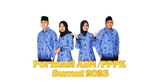 Rincian Formasi ASN PPPK Sumatera Utara Tahun 2023