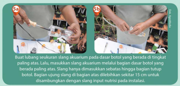 Membuat Rangkai Botol Hidroponik Kreatif