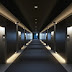 Discover Architectural Lighting Types, Tips & Trends
