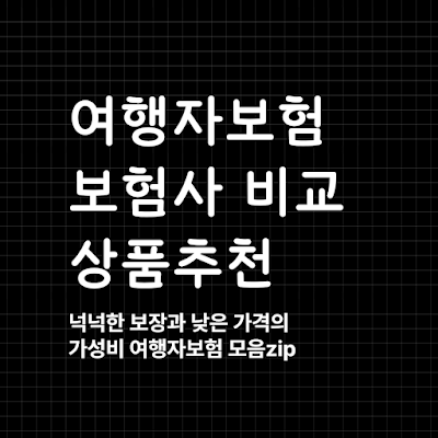 해외여행 여행자보험 보험 비교 상품 추천