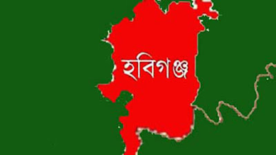 বাহুবলে ট্রাক-পিকআপ সংঘর্ষে নিহত ২