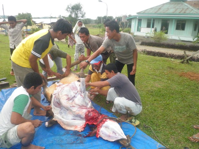 PT ROHUL SAWIT INDUSTRI: Hari Raya Qurban Idul Adha 10 