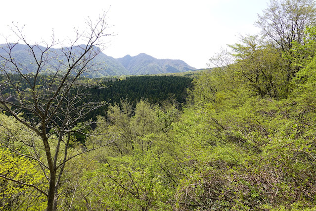 鳥取県西伯郡大山町豊房 香取の眺望