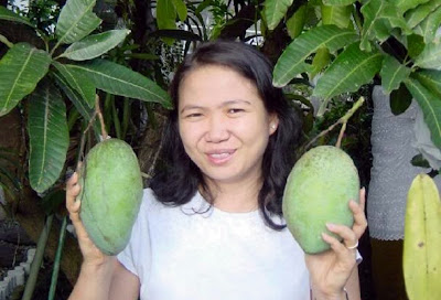 keuntungan mengkonsumsi buah mangga