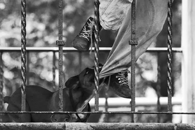 Foto: Ilustrativa