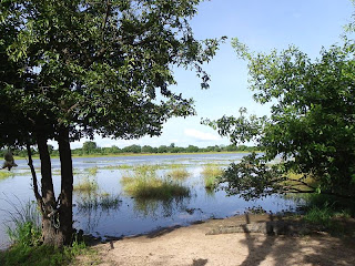 Burkina Faso - Sabou : la mare aux crocodiles sacrés