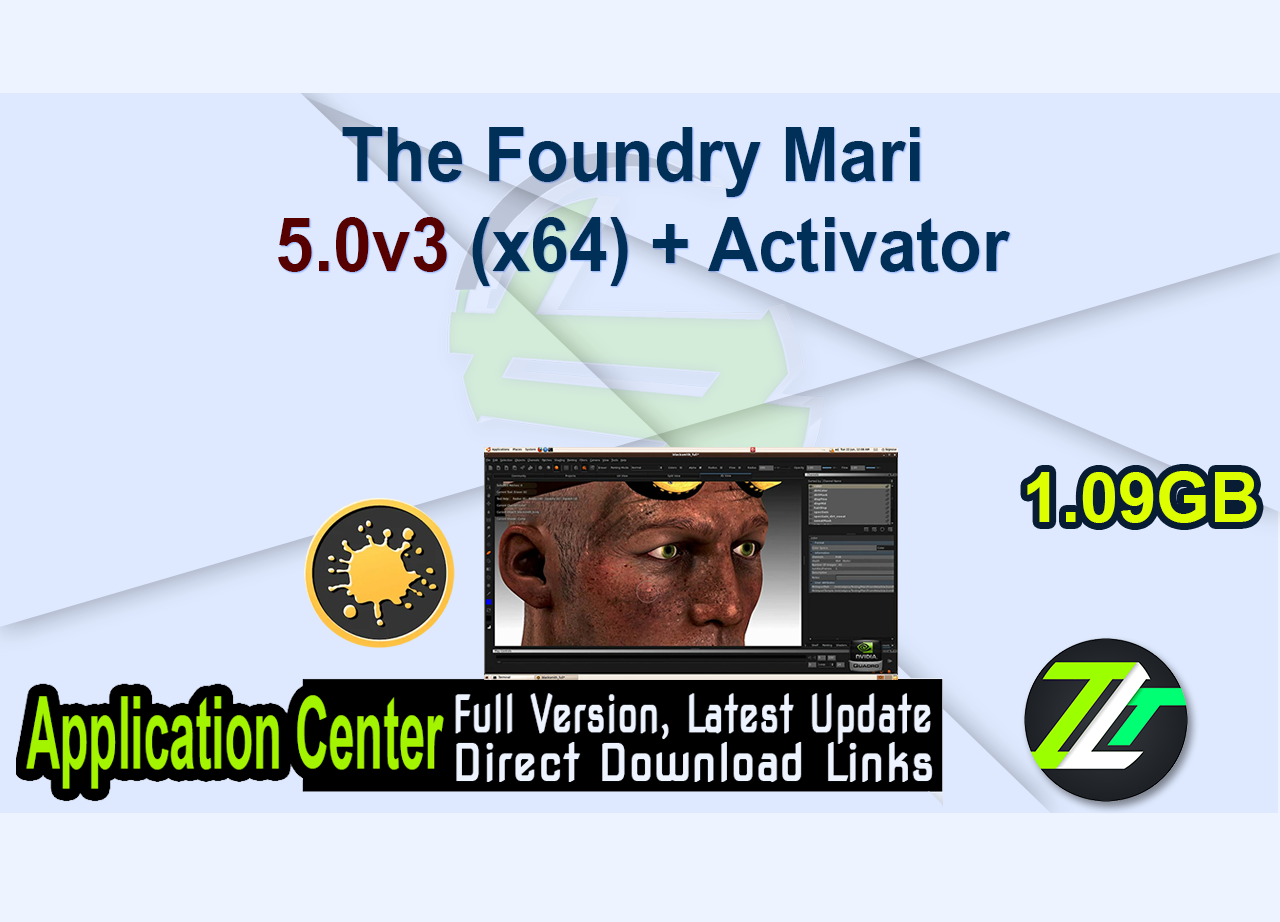 The Foundry Mari 5.0v3 (x64) + Activator