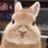 clip_image011