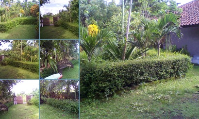View album