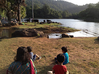 kerala sightseeing parenting asurankund dam