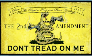 Don't Tread on Me 2nd Amendment Style