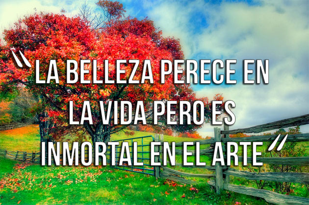 frases de belleza