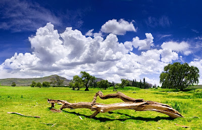 imagenes-paisajes_paisaje-y-cielo-azul