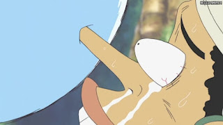 ワンピース アニメ 空島 スカイピア 161話 ウソップ | ONE PIECE Episode 161 Skypiea