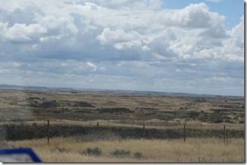 IMG_8587