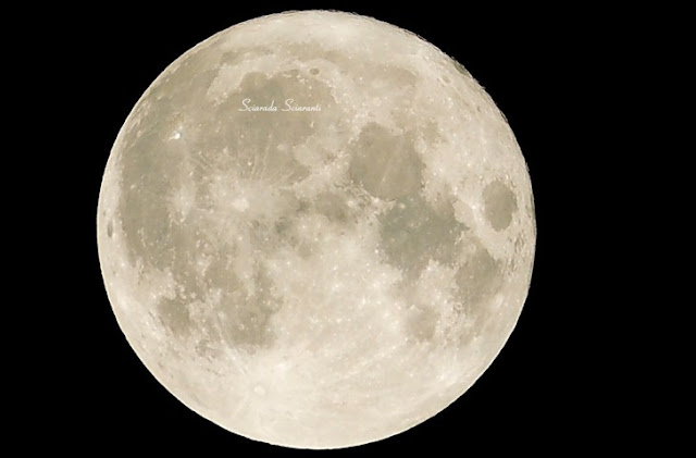 Superluna del Cervo - 13 luglio 2022 - Sciarada Sciaranti