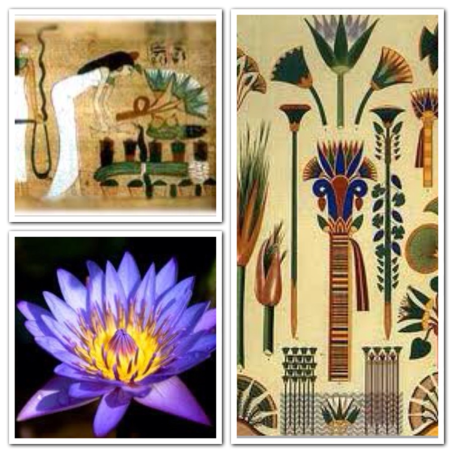 It all started in Egypt. The Blue Lotus is Victory of