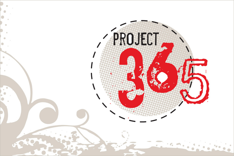  The 365 Photo Project is a photography project where you document a year of 