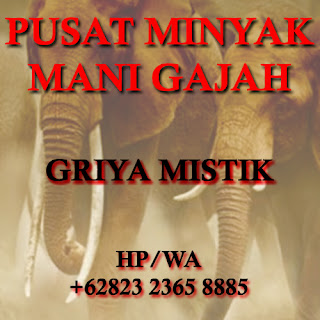 Khasiat Minyak Mani Gajah