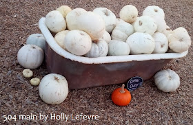 cotton candy white pumpkins in a tub by 504 Main